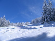 Skiabfahrt Hinterthal